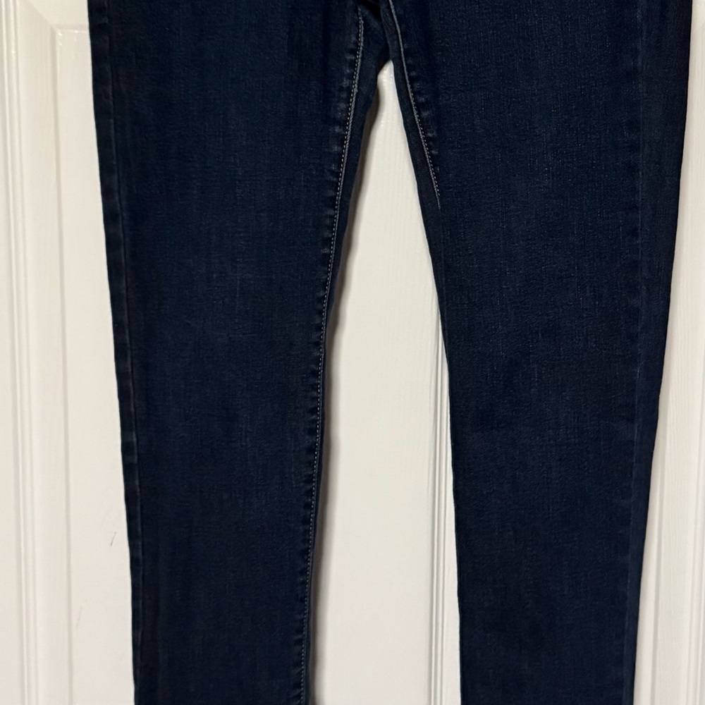 American Eagle Outfitters Dark Blue Skinny Jeans